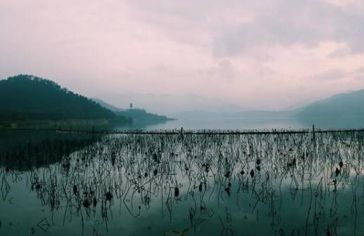 白居易历史图片