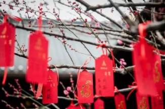春节历史图片