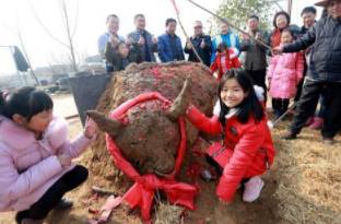 “鞭春牛”是什么习俗?“鞭春牛”是什么时候兴起的?历史图片