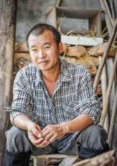 模仿“咏鹅”写下“咏鸡”历史图片