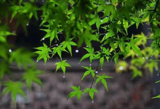 清明节历史图片