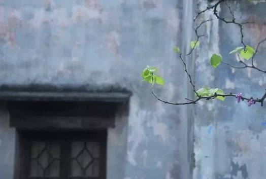 清明节历史图片
