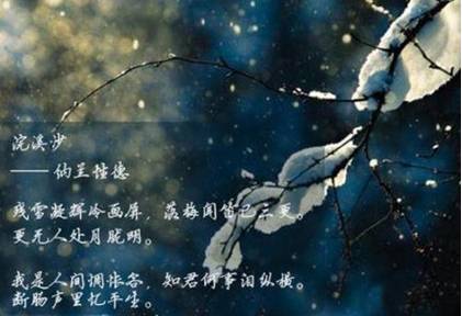 清朝历史图片