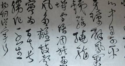 杨炯历史图片