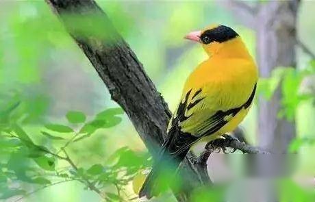 古诗历史图片
