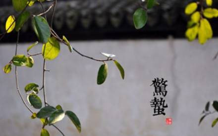 惊蛰历史图片