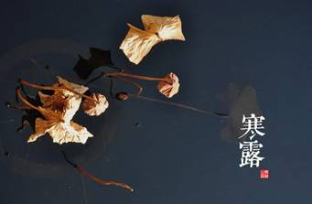 寒露历史图片