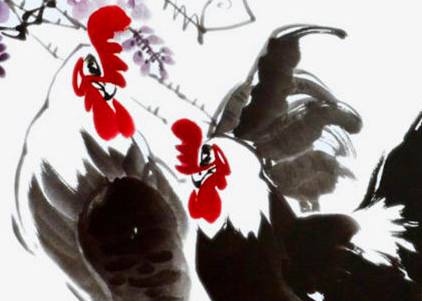 鸡历史图片