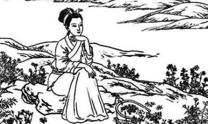 卷耳历史图片
