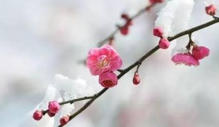 宋词历史图片