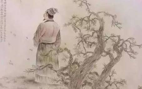 《思远人》的作者是谁？这首诗词的原意是什么？历史图片