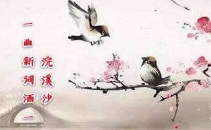 宋词历史图片
