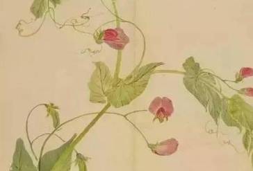 诗经历史图片