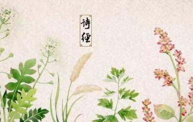 诗经历史图片