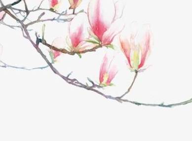 诗经历史图片