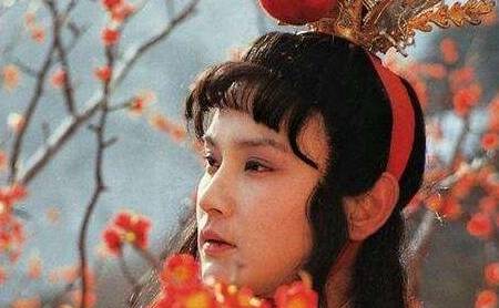 红楼梦历史图片