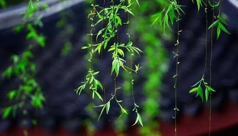 寒食节历史图片