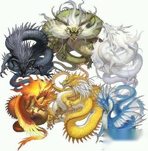 龙历史图片