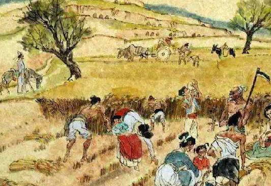 白居易历史图片