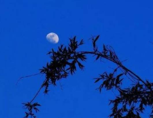 马致远历史图片