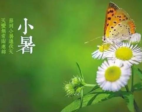 元稹历史图片