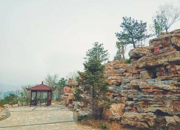 孟郊历史图片