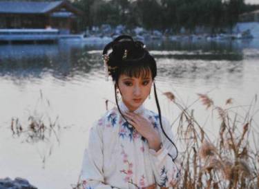 贾敏历史图片