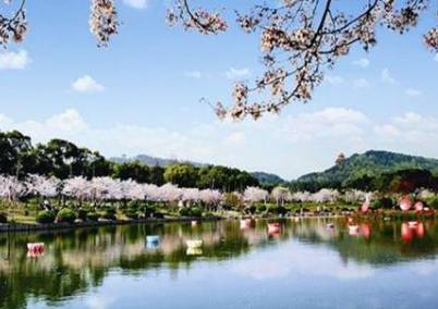 杜审言历史图片