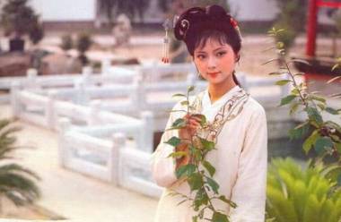 红楼梦历史图片