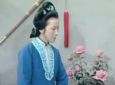 贾府历史图片