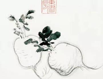 萝卜历史图片
