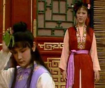 袭人历史图片