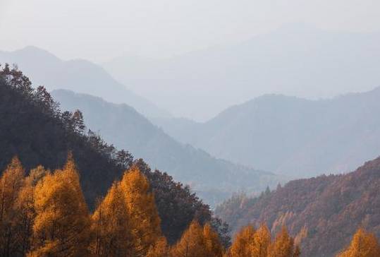 辛弃疾历史图片