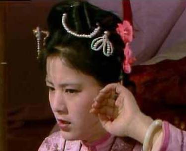 袭人历史图片
