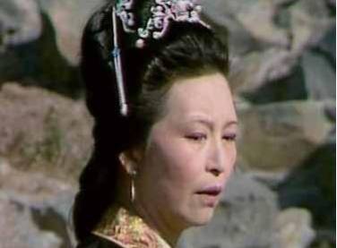 袭人历史图片
