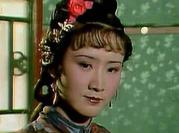 袭人历史图片