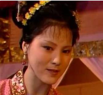 袭人历史图片