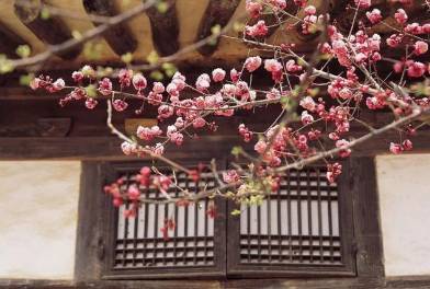 孟浩然历史图片