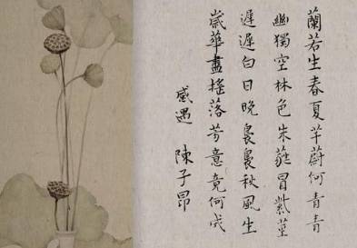 陈子昂历史图片