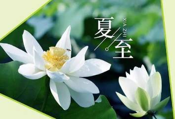 杨万里历史图片