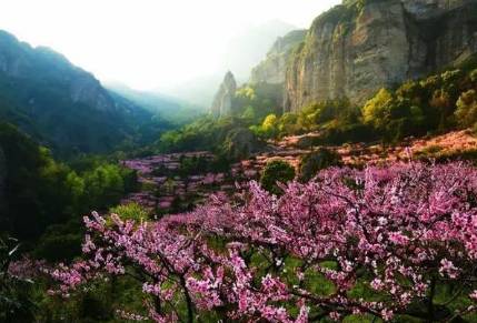 黄庭坚历史图片