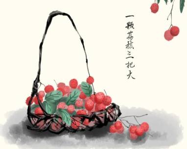 荔枝历史图片