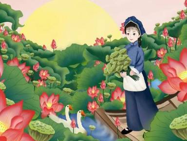 莲子历史图片
