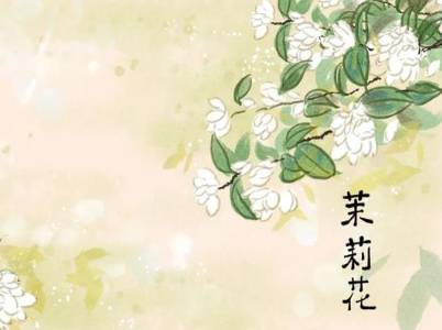 茉莉历史图片