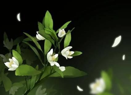 历史上有哪些描写夏花的诗作？诗人笔下的花有多少品种？历史图片