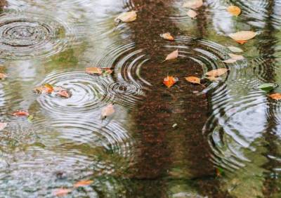 雨声历史图片