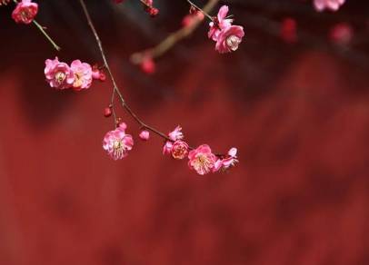 节气历史图片