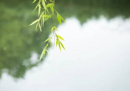 春水历史图片