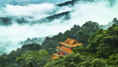 唐毅夫历史图片