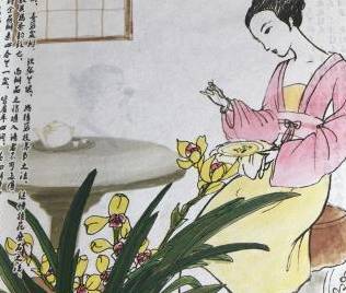 陈芸历史图片